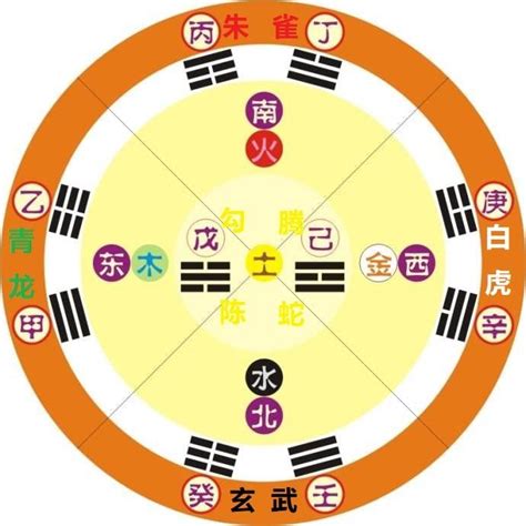 己五行|天干